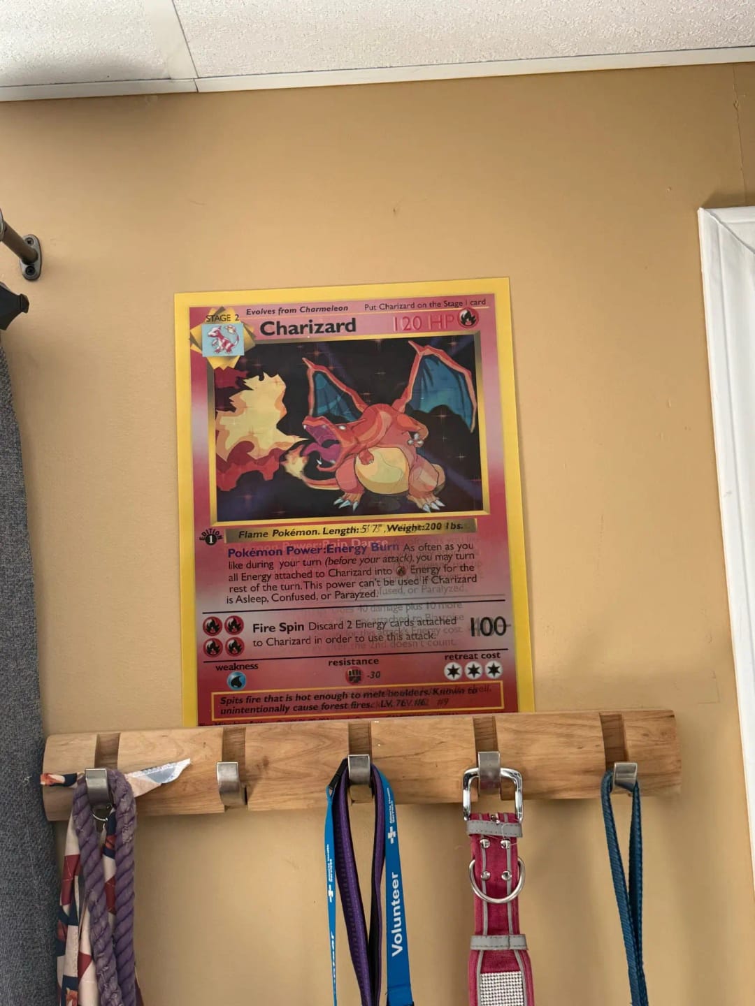 Customer photo review of Legendary 3D Wall Art