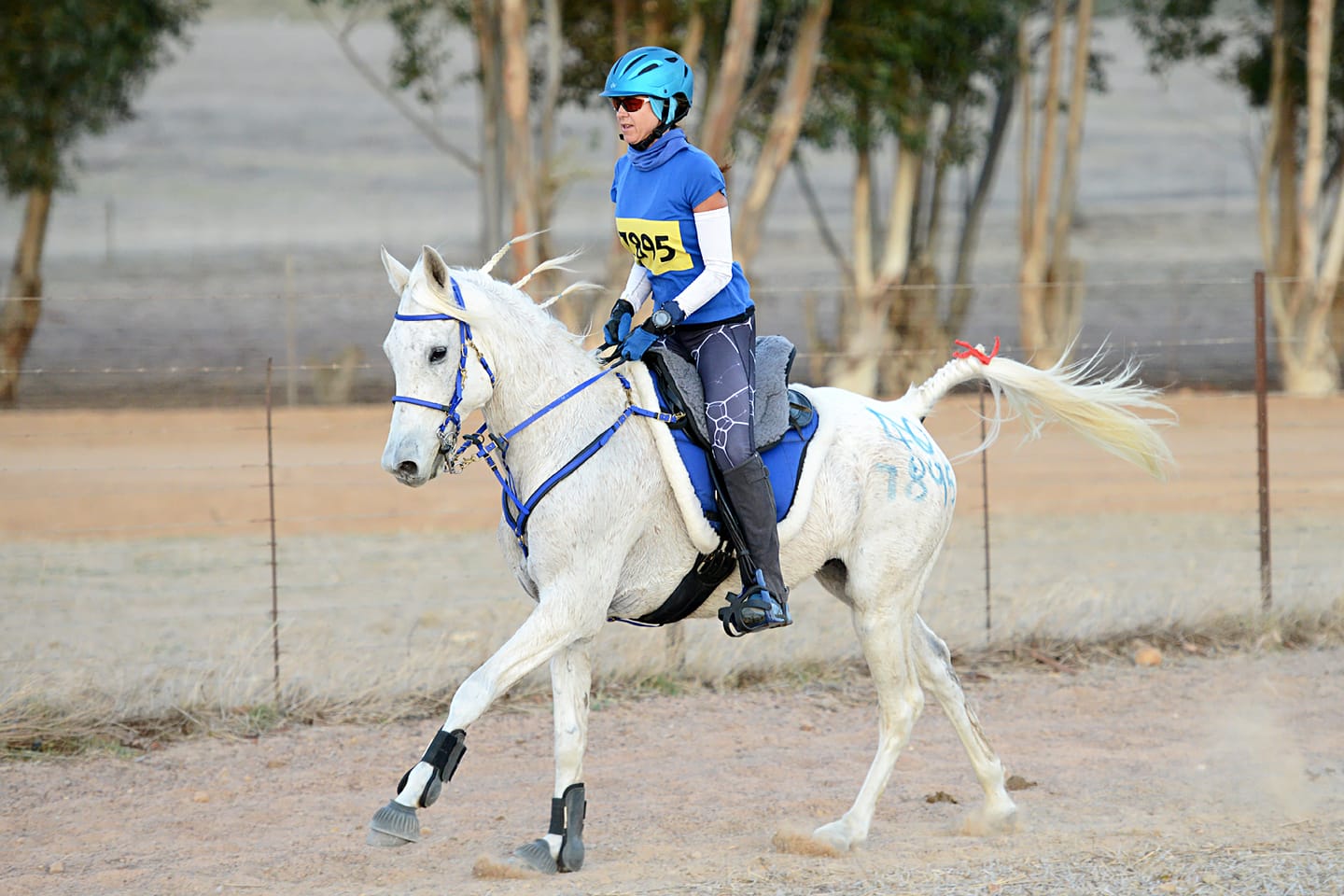 Customer photo review of Flexcare Equine (Joint Supplement For Horses)