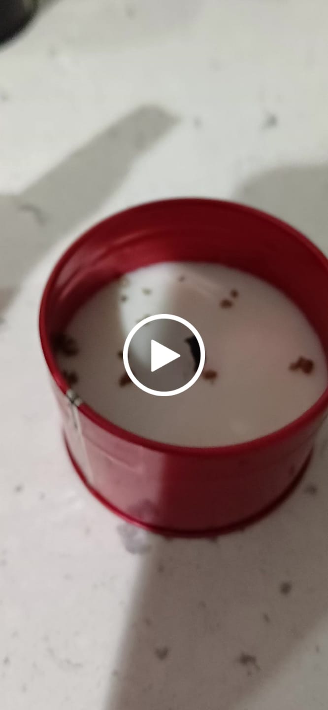 Customer video review of Tarro con tapa de color Rojo