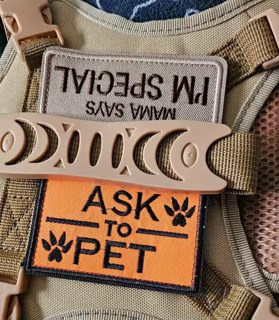 Customer photo review of Striker Military-Grade Tactical No-Pull Harness V4
