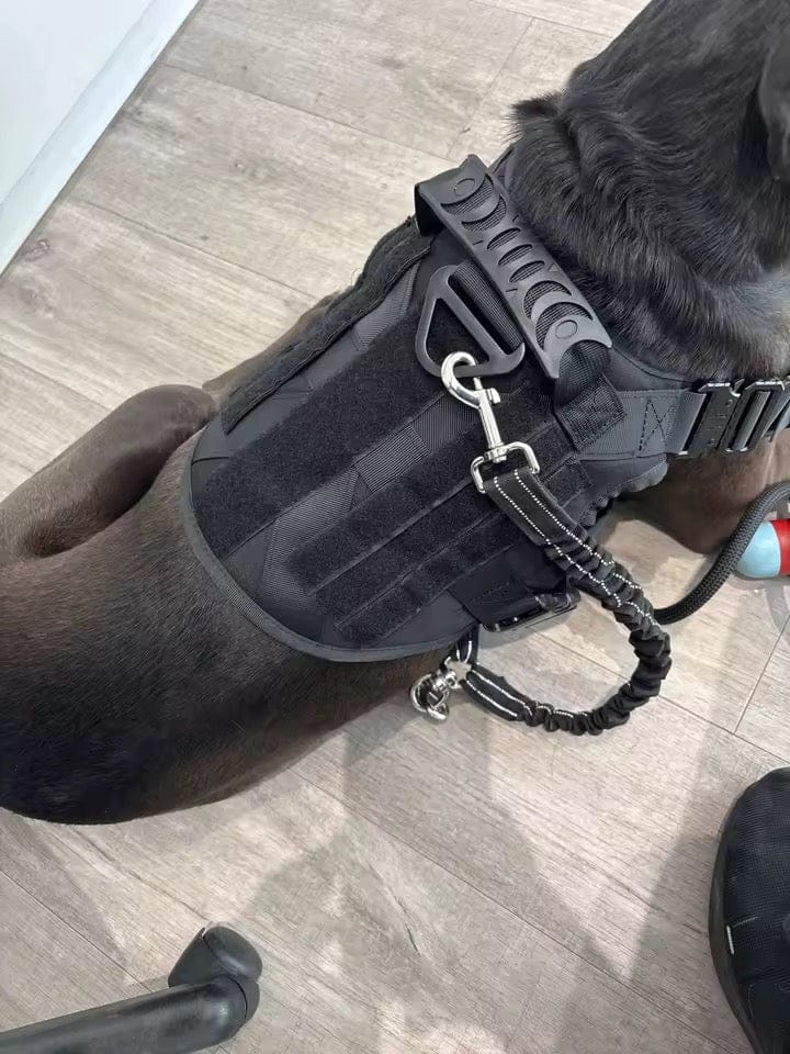 Customer photo review of Striker Military-Grade Tactical No-Pull Harness V4