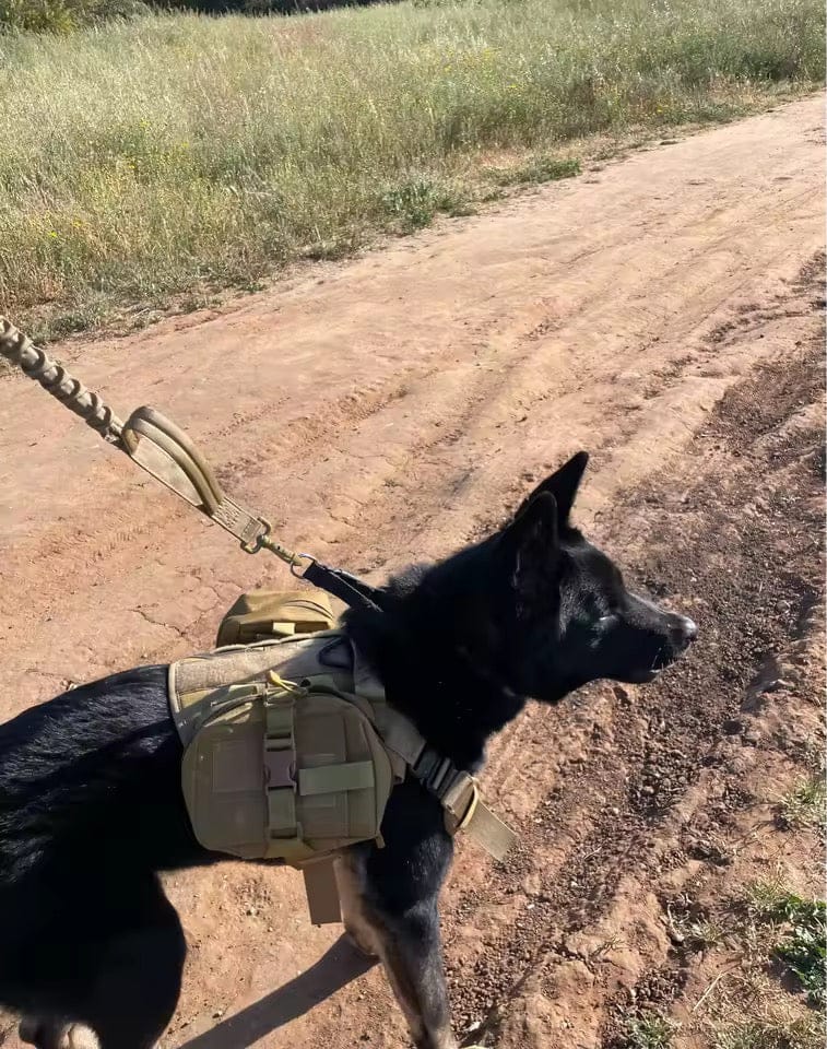 Customer photo review of Striker Military-Grade Tactical No-Pull Harness V4