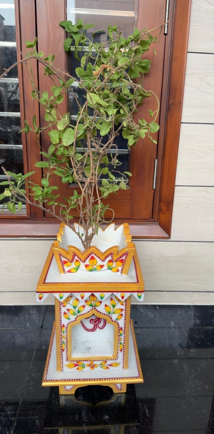 Customer photo review of Marble Tulsi Pot, Traditional Painting - Handicraft Bazaar