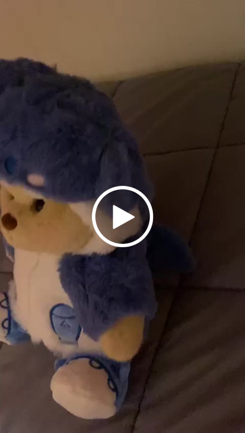 Customer video review of Blue Shark