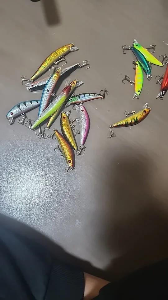 Customer photo review of Vielseitiges Minnow-Köderset