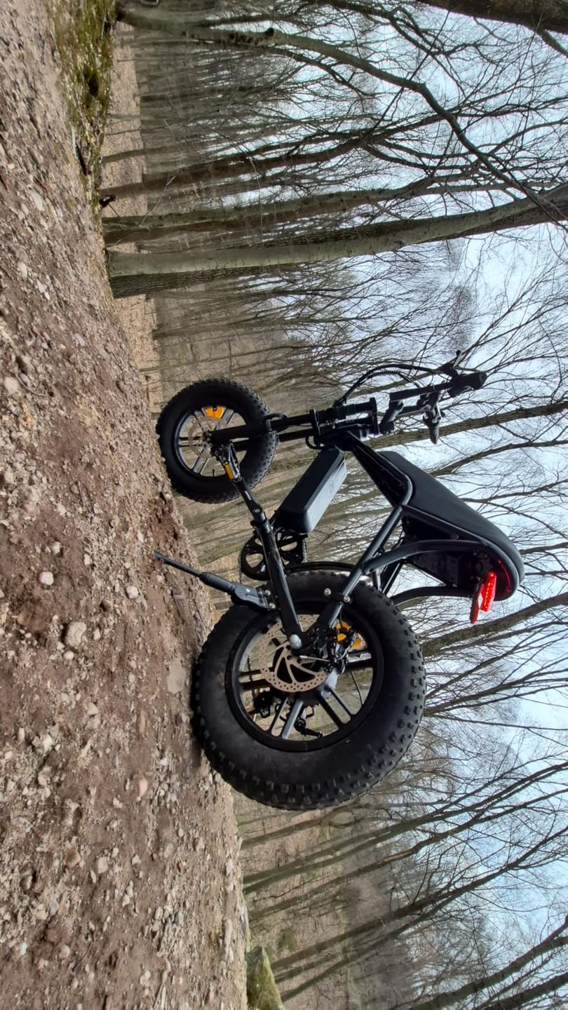 Customer photo review of OUXI V8 Mini Fat Tire Electric Bike