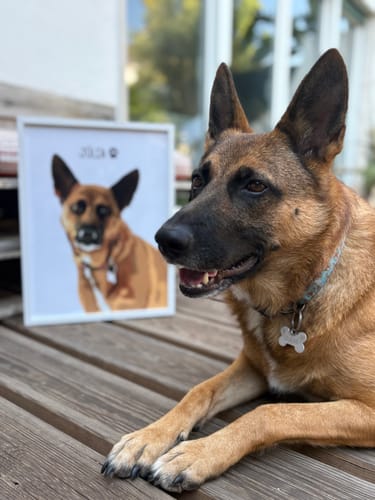 Customer photo review of Quadro Retrato Colorido (1 Animal)