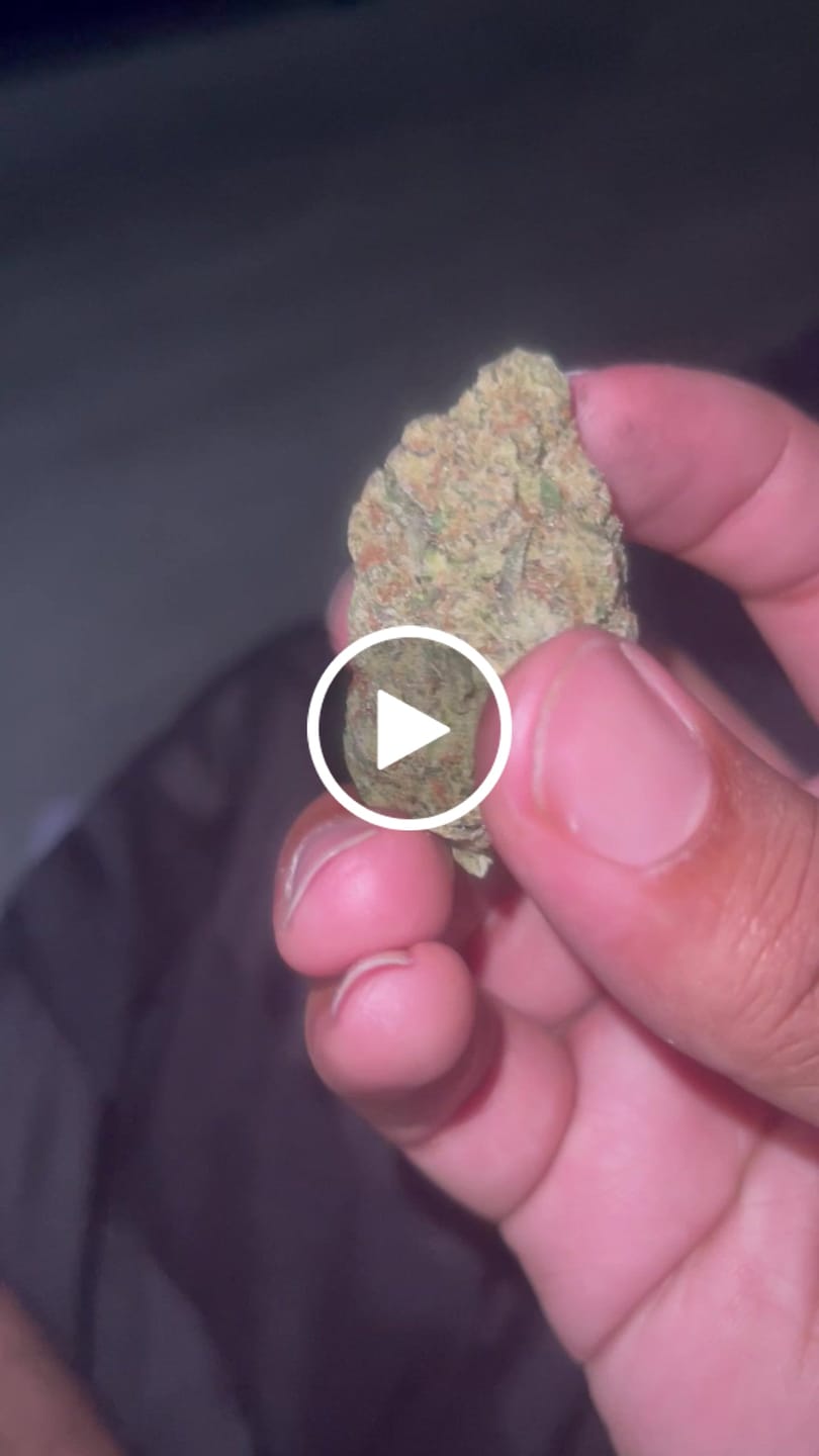 Customer video review of FREE SAMPLE (with code) THCa Flower