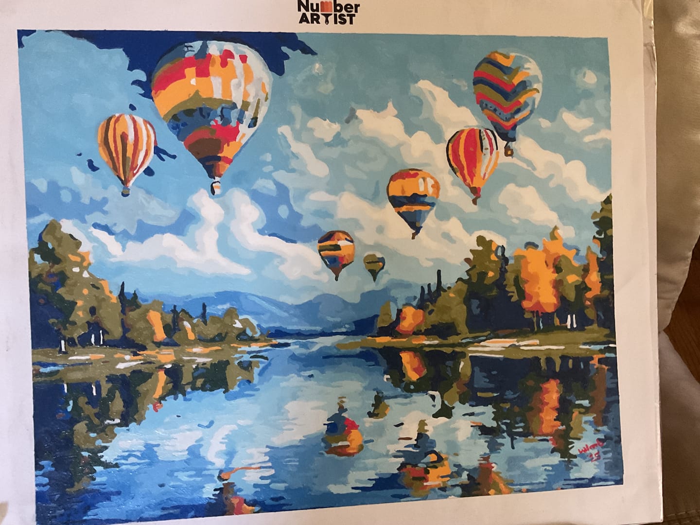 Customer photo review of Hot Air Balloon Showcase