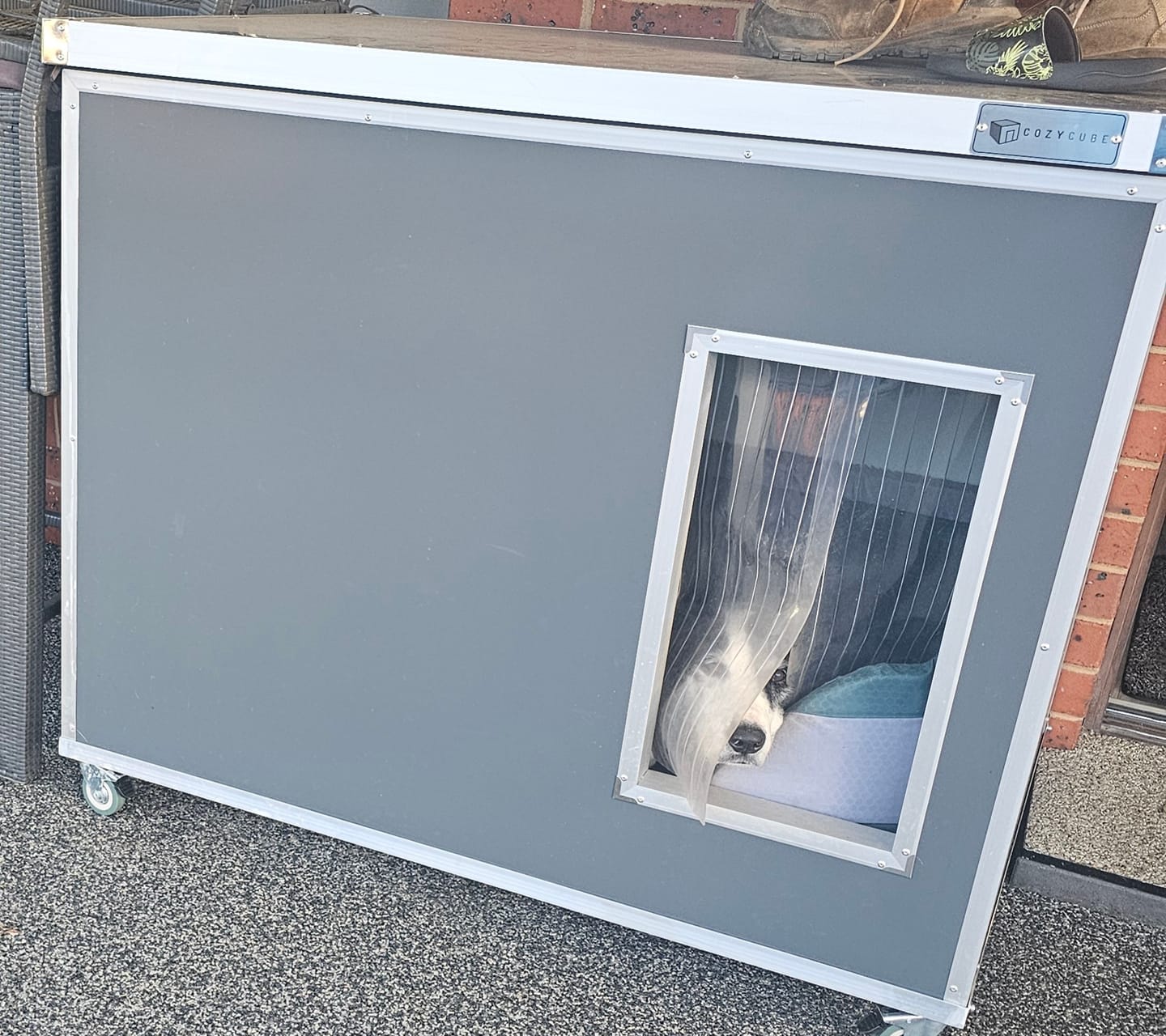 Customer photo review of CozyCube Coldroom Panel Insulated Dog House