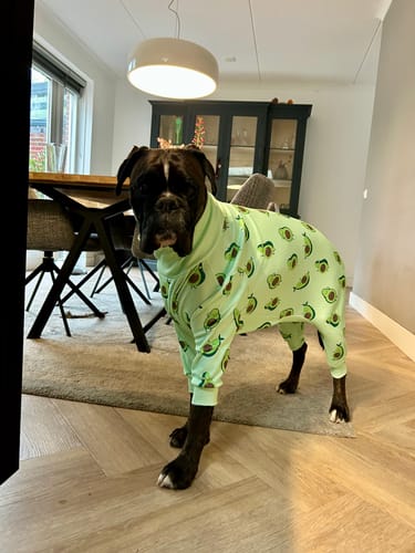 Customer photo review of Dog Pajama - Avocado