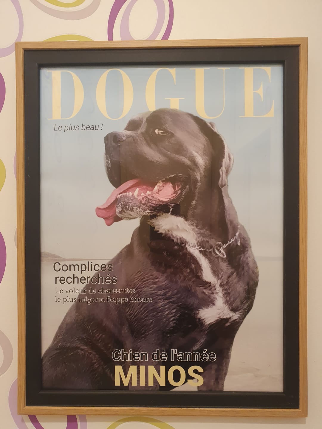 Customer photo review of Dogue - Poster personnalisé