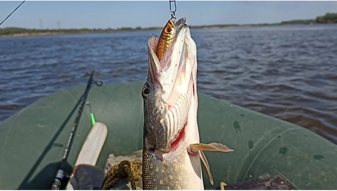 Customer photo review of Vielseitiges Minnow-Köderset