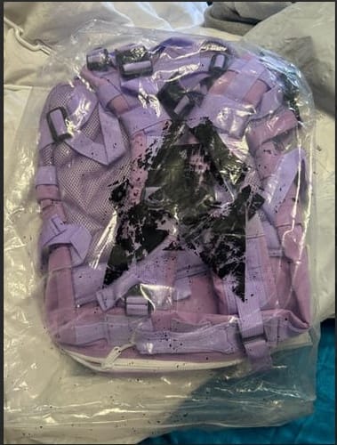 Customer photo review of Gen 3 Lemonade 35L Backpack