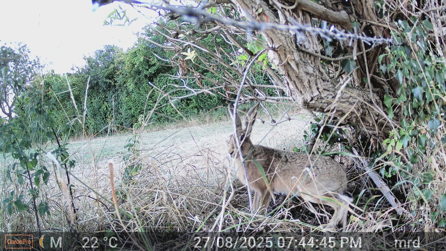 Customer photo review of GardePro E8 2.0 Pro Wi-Fi Trail Camera
