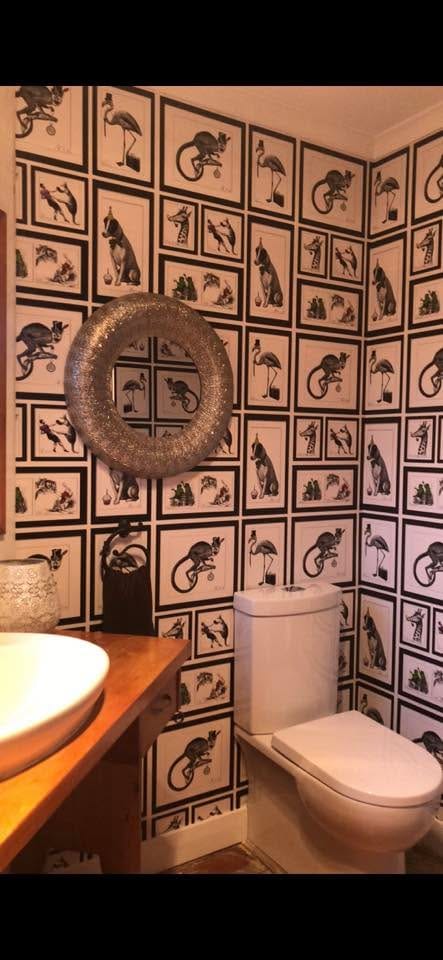 Customer photo review of Mad Dogs Wallpaper