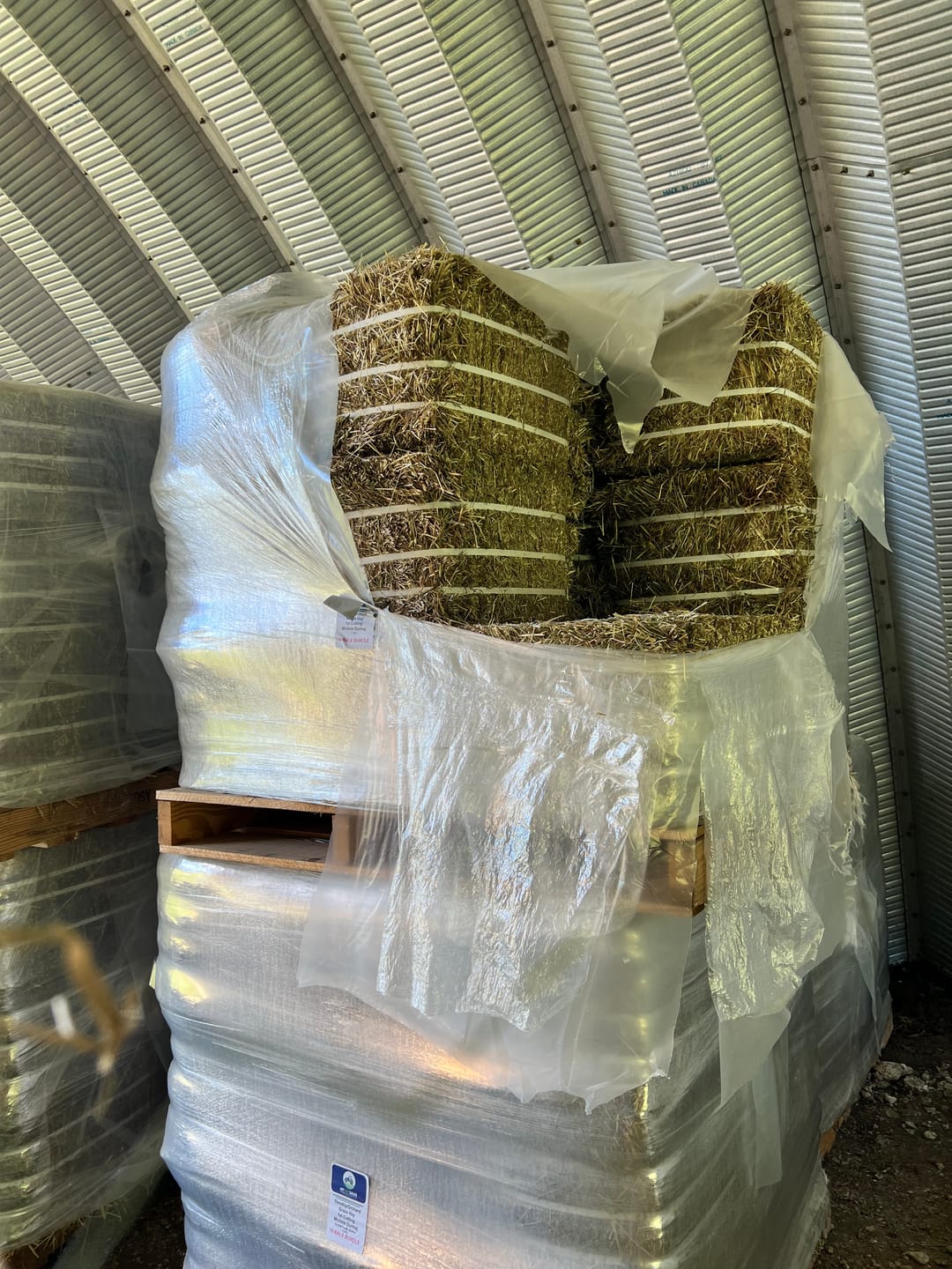 Customer photo review of 1st Cutting Timothy Orchard Grass Hay