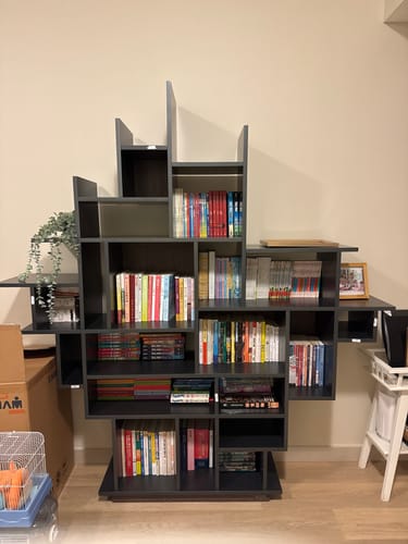 Customer photo review of Desert Shelves / Bookcase BMBO- SJ80116