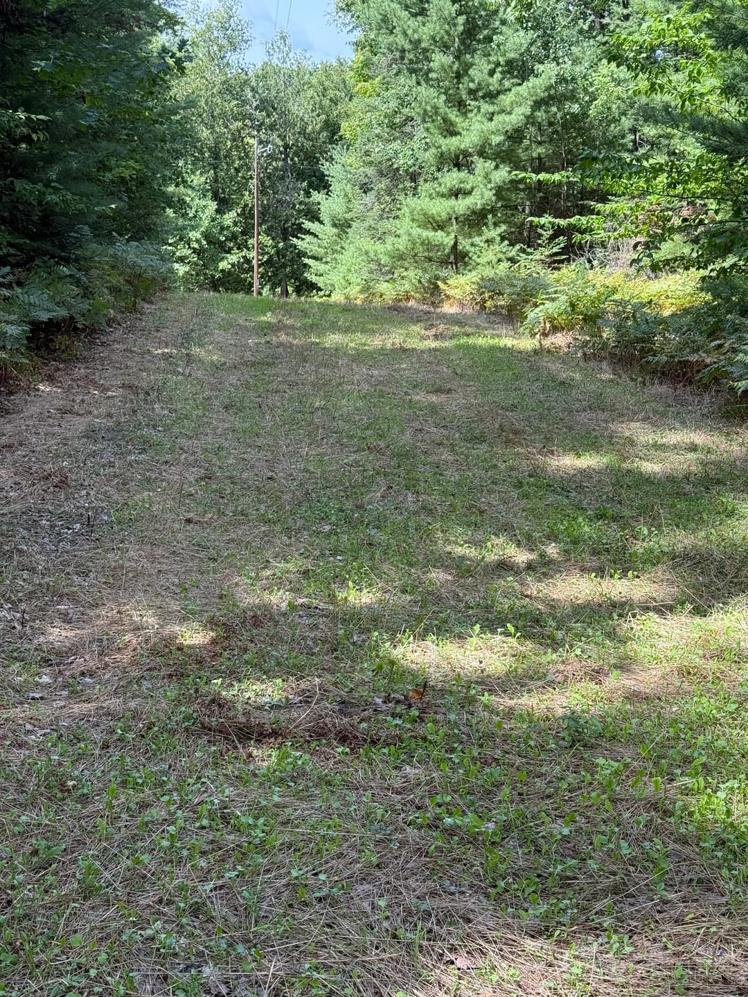 Customer photo review of No Plow No Problem