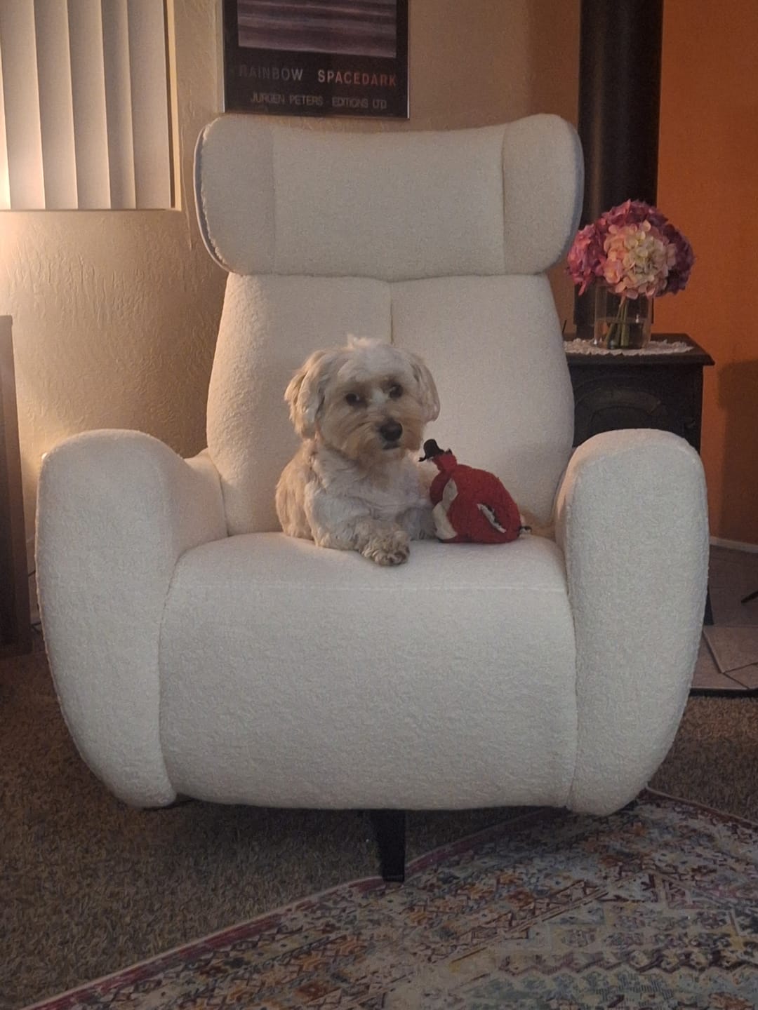 Customer photo review of SwanSing Single-Seater Power Zero Gravity Chair Recliner