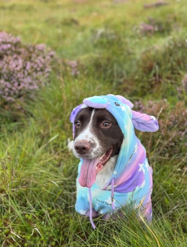 Customer photo review of Halloween Dog Hoodie - Unicorn