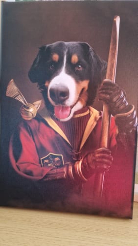 Customer photo review of Portrait Chien Chiffon D'OR