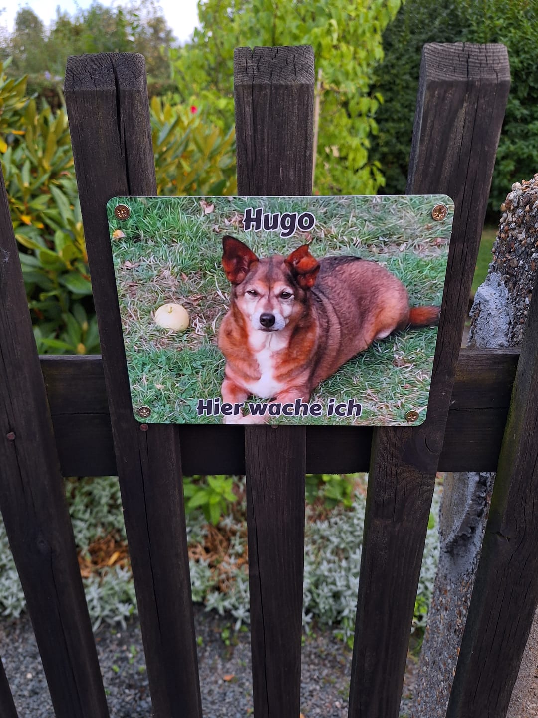 Customer photo review of Hunde-Türschild personalisiert mit Foto & Text (UV- und wetterfest)