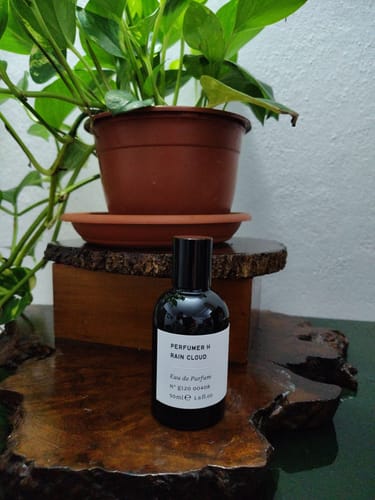 Ovsyannikova E. review of Rain Cloud image 1 out of 1