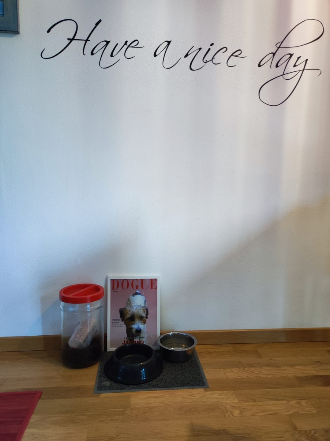 Customer photo review of Dogue - Poster personalizzato