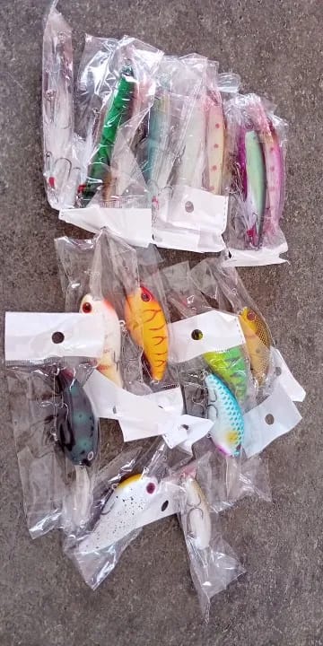 Customer photo review of Vielseitiges Minnow-Köderset