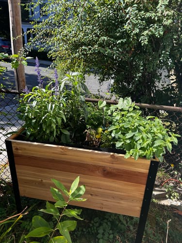 Customer photo review of 18" x 36" Raised Garden Bed - 30" TALL