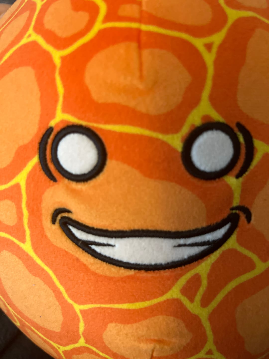 Customer photo review of The SolarBalls Sun Plush