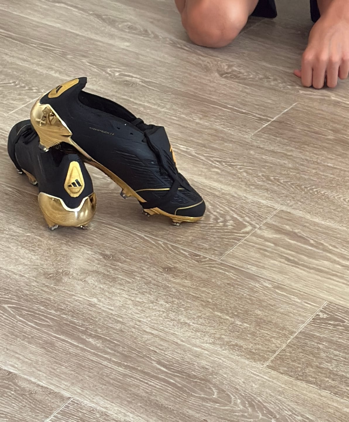 Customer photo review of Predator 24 Elite Fold-over Tongue FG Belligold - Noir/Doré ÉDITION LIMITÉE