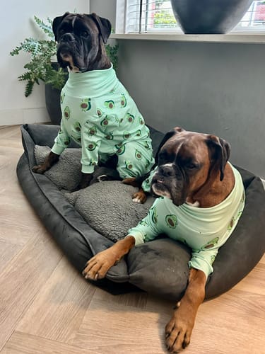 Customer photo review of Dog Pajama - Avocado