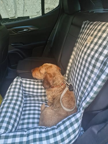 Customer photo review of Seggiolino Auto Cotone Quadretto Verde