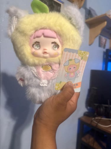 Customer photo review of NOMMI INTERESTING FRUIT SERIES | BLIND BOX