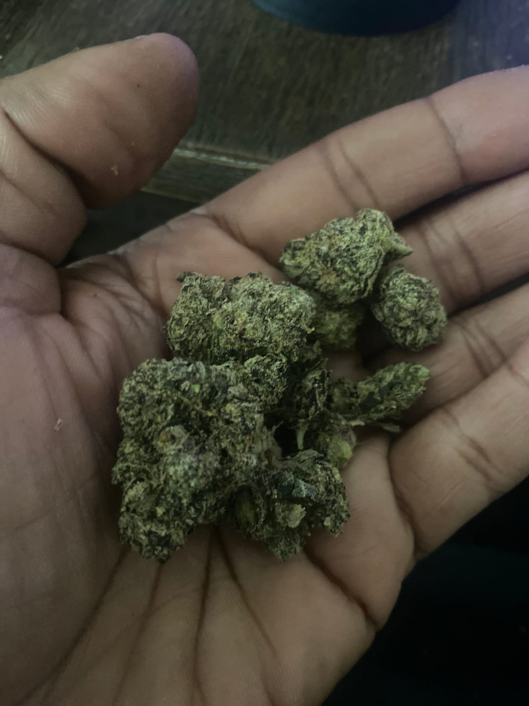 Customer photo review of Blue Lobster