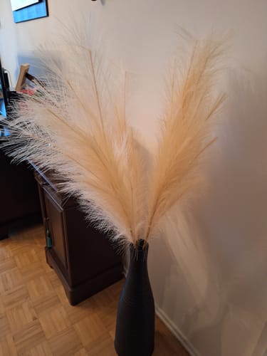 Customer photo review of Pampas 110cm (3 tiges)- Crème