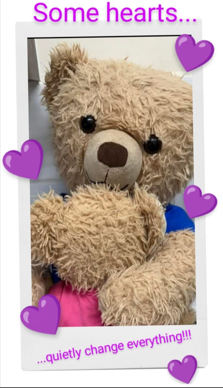Customer photo review of Donate to Eddy the Teddy
