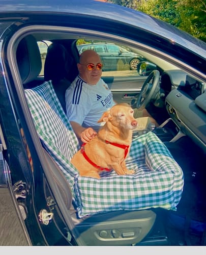 Customer photo review of Seggiolino Auto Cotone Quadretto Verde