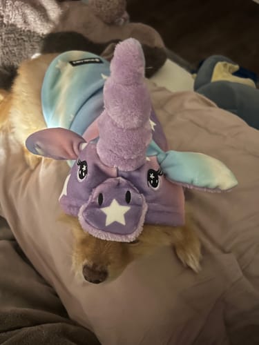 Customer photo review of Halloween Dog Hoodie - Unicorn