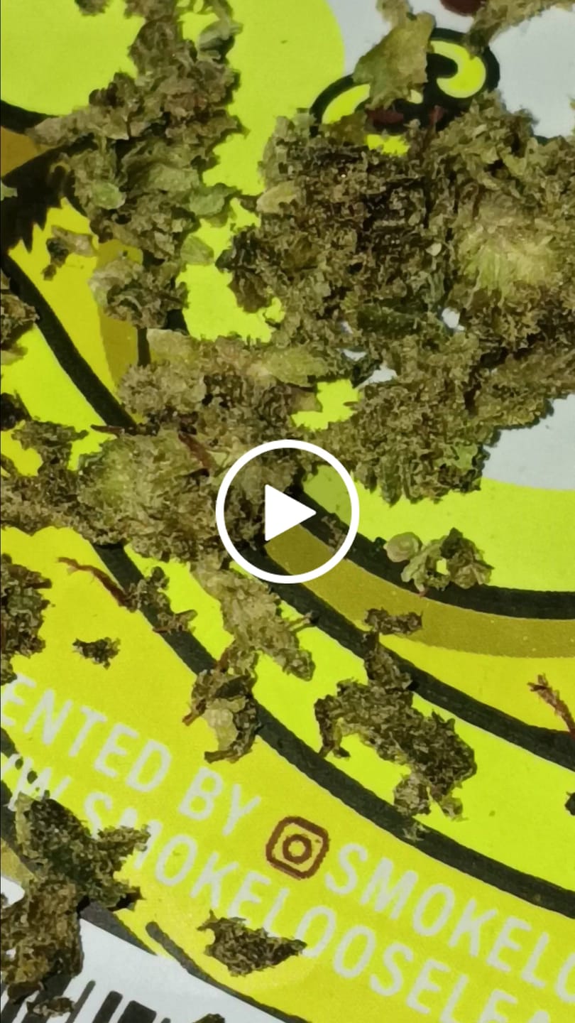 Customer video review of Indoor Smalls