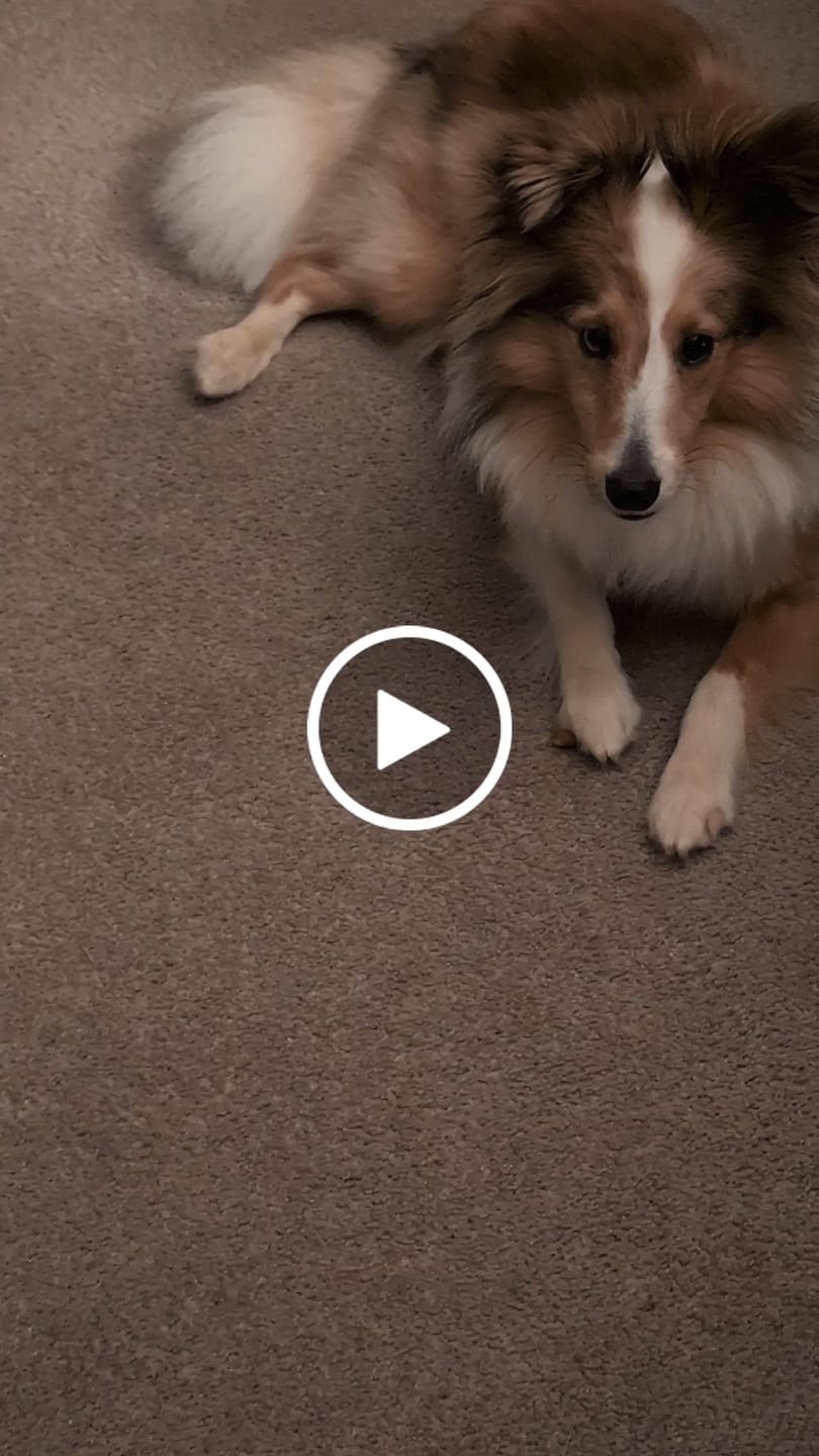 Customer video review of Wrap-Ups® Pill Wrapper