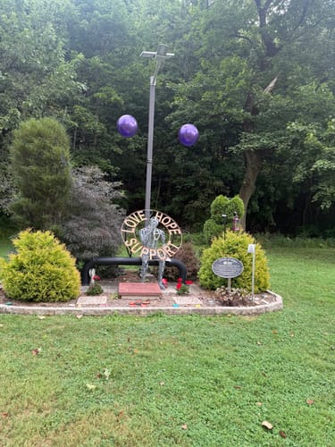 Customer photo review of Purple DuraBalloon®