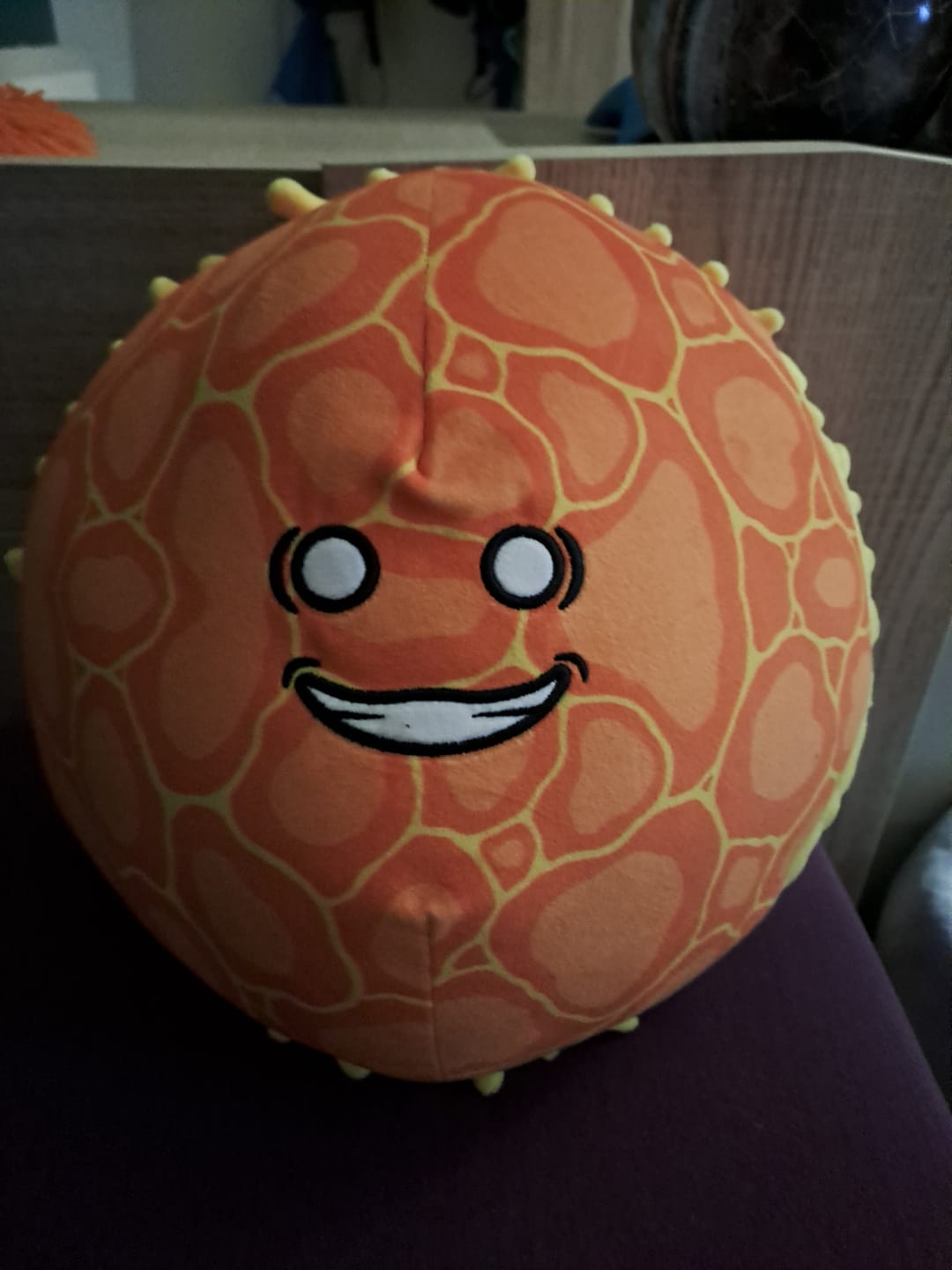 Customer photo review of The SolarBalls Sun Plush