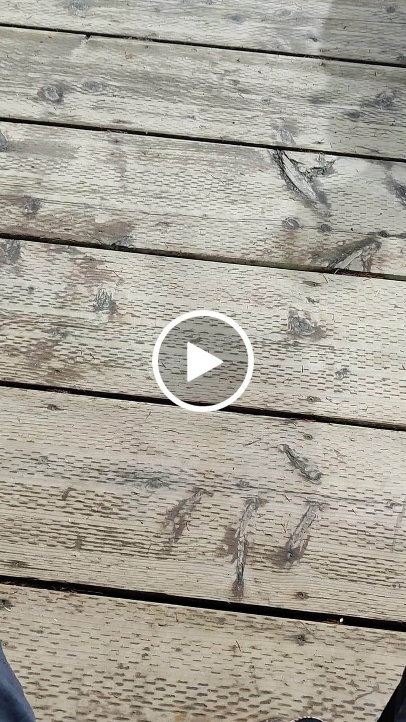 Customer video review of Ultra Comfortable Shoes "Secret Offer" Buy 1 Get 1 Free