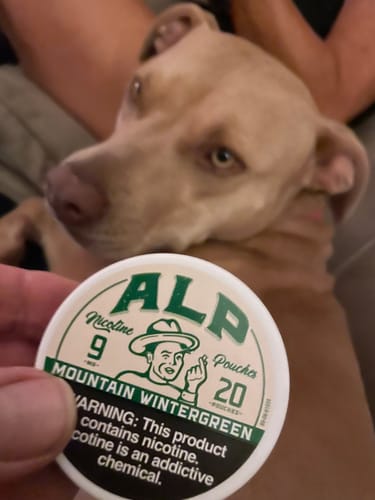 Customer photo review of Chilled Mint Nicotine Pouches