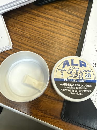 Customer photo review of Chilled Mint Nicotine Pouches
