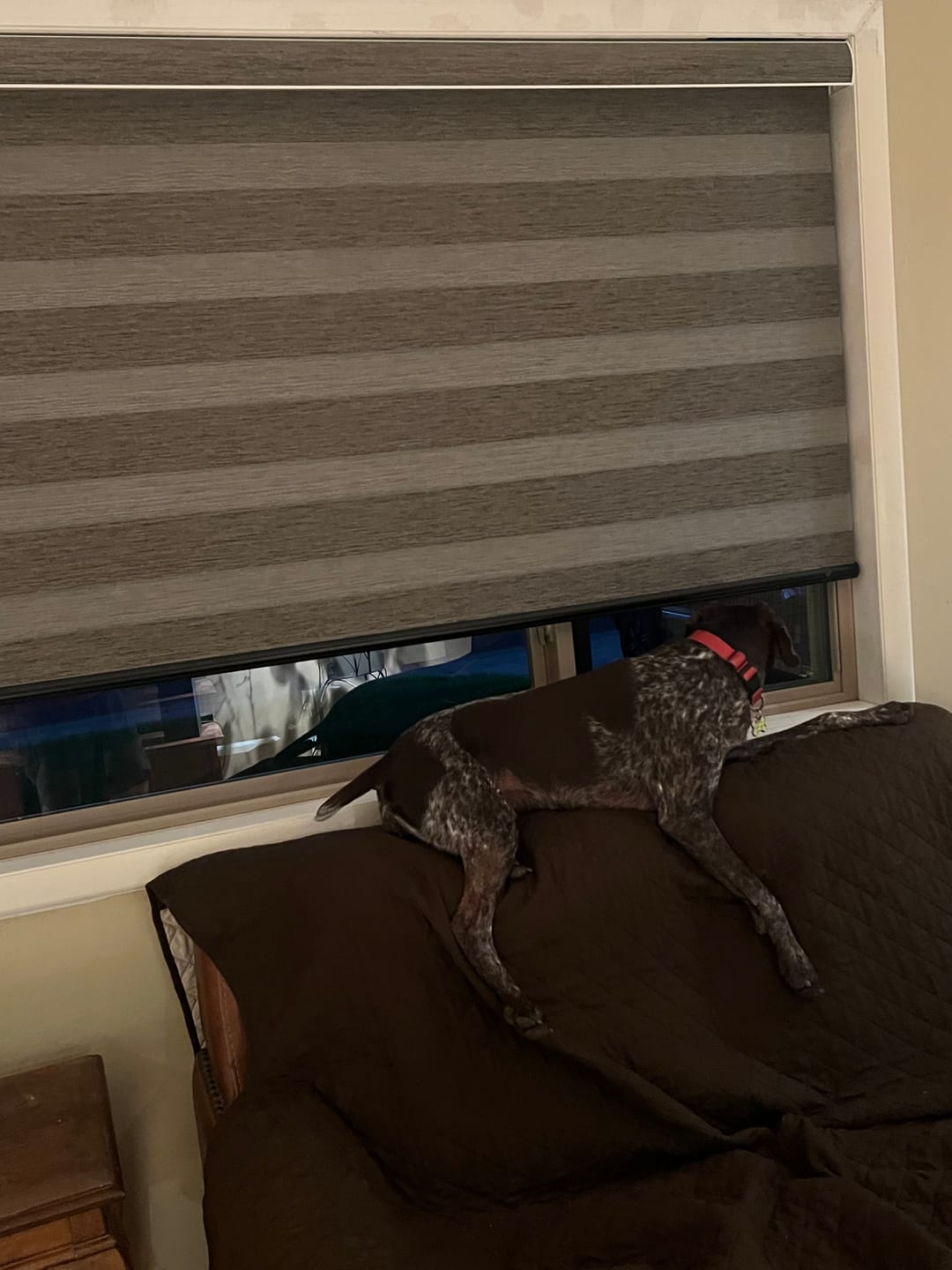 Customer photo review of SmartWings Motorized Zebra Shades 85% Blackout 95mm Ingrid