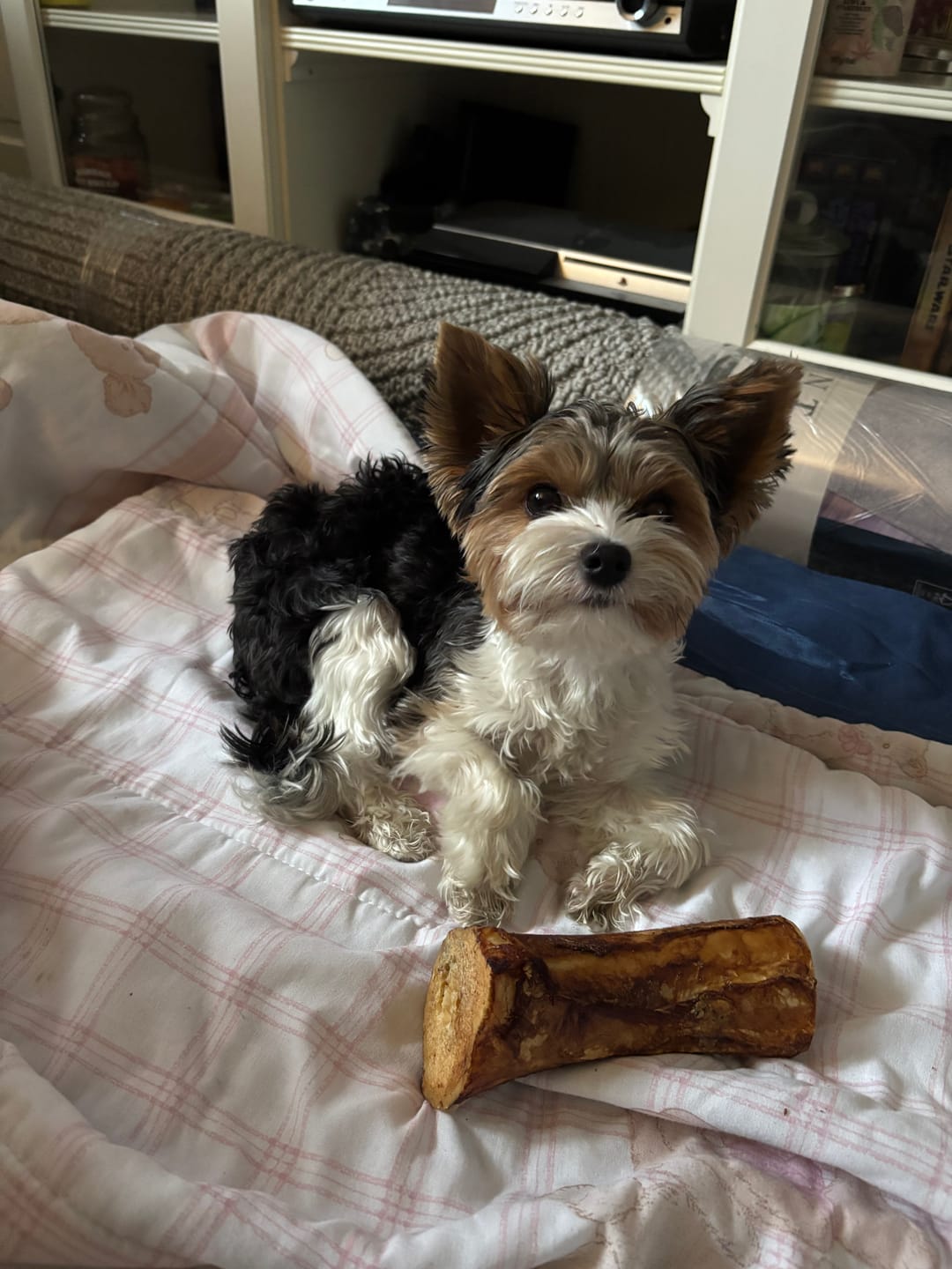 Customer photo review of 5-6 Inch Marrow Bone
